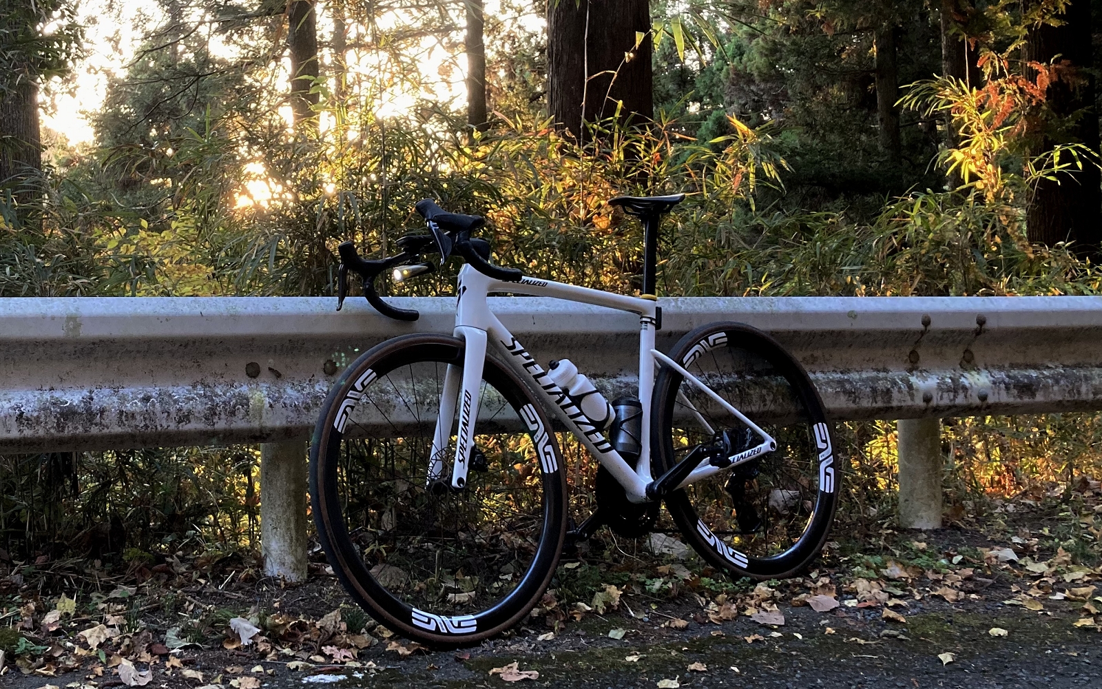 スタッフが本音で語る【2025年買って良かったものベスト3】高木編